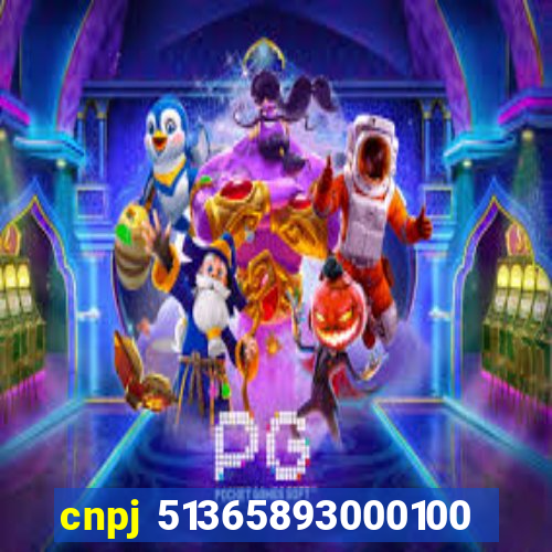 cnpj 51365893000100